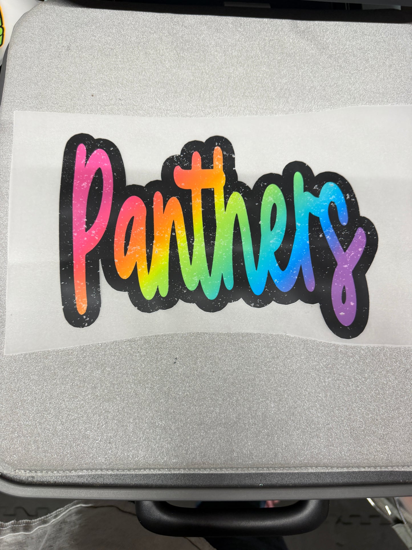Panthers Rainbow Wordmark DTF Transfer