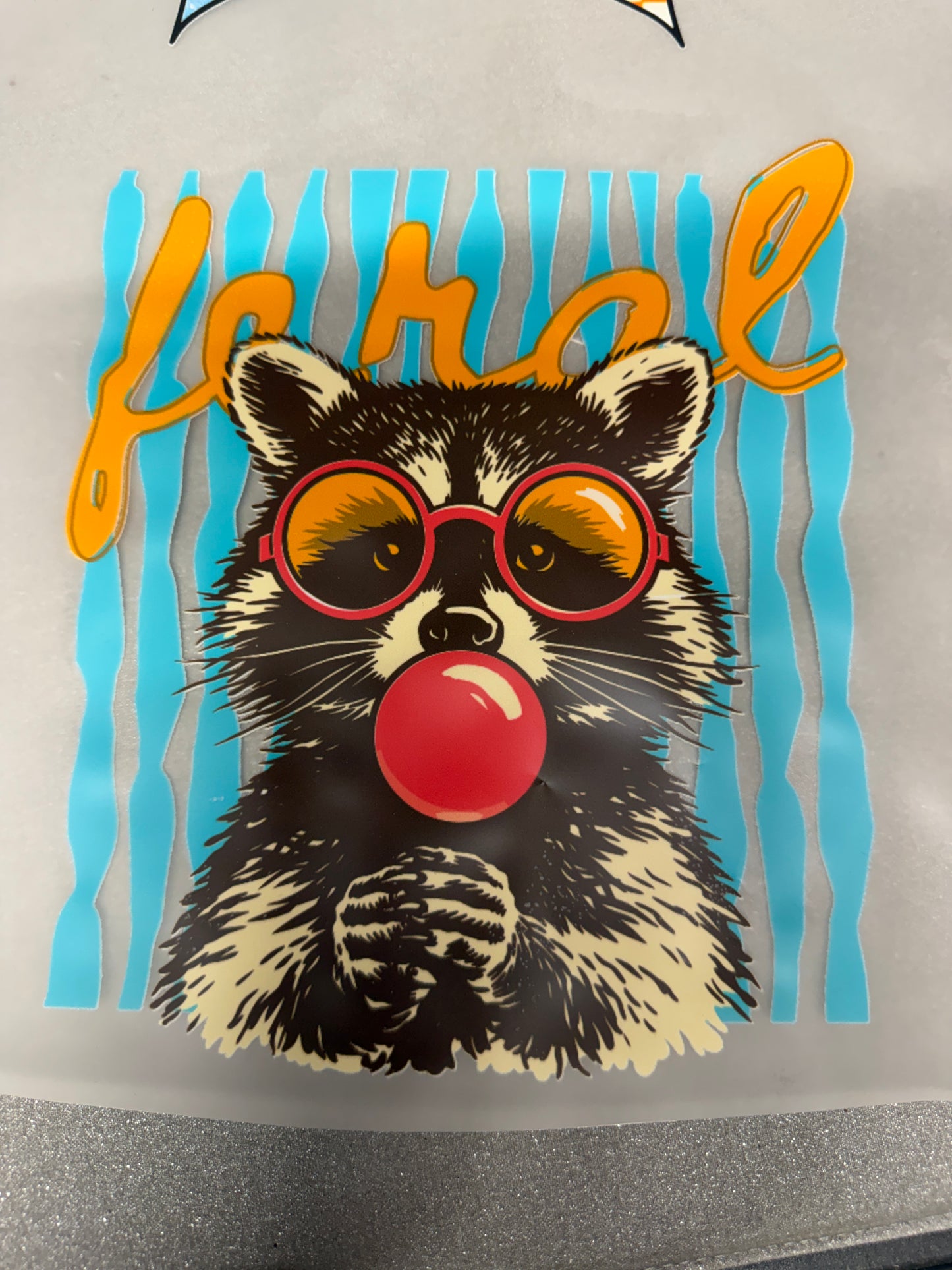 Feral Raccoon DTF Transfer
