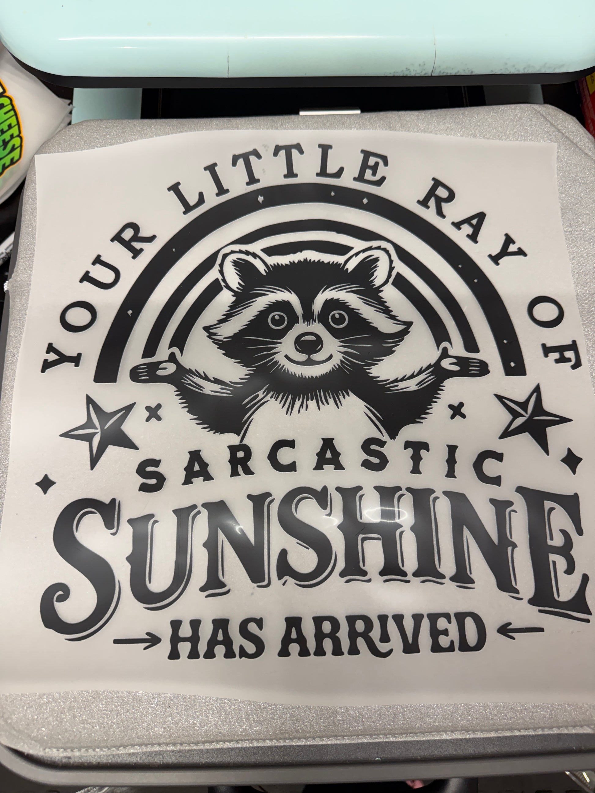 Sarcastic Sunshine Raccoon DTF Transfer